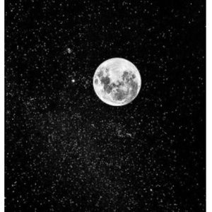 Meet your Posher, Kat